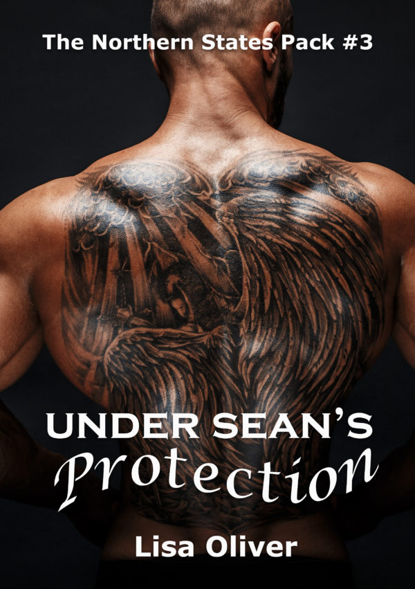 Under Sean's Protection - Lisa Oliver - The Northern States Pack