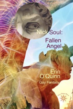 Nick Soul: Fallen Angel - Erin O'Quinn