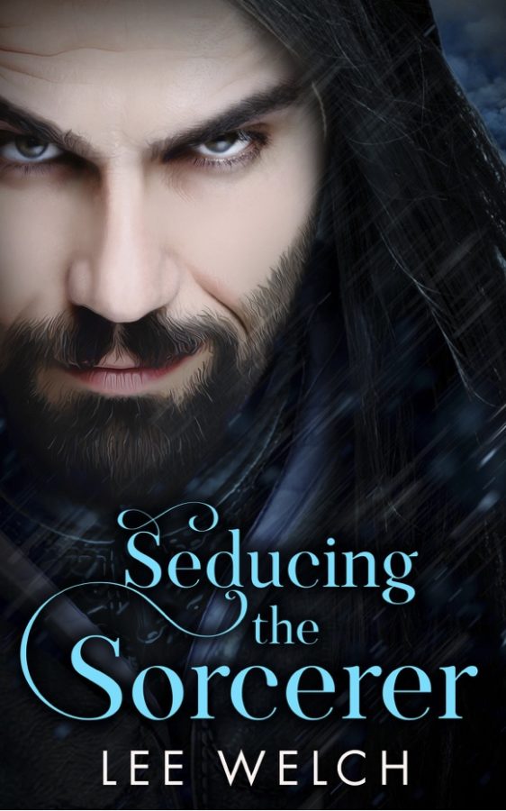 Seducing the Sorcerer - Lee Welch