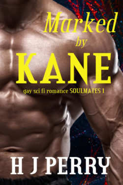 Marked by Kane - HJ Perry - Soulmates