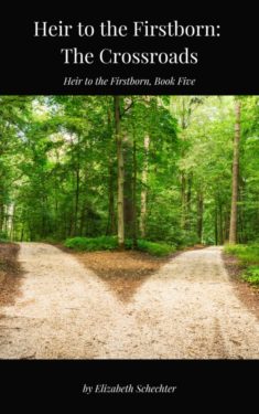 Heir to the Firstborn - The Crossroads - Elizabeth Schecter