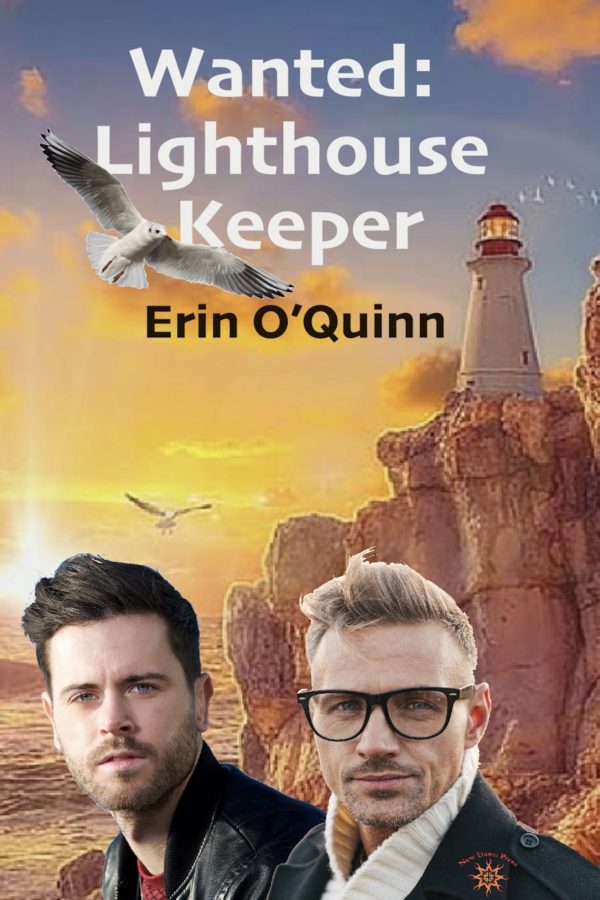 Wanted: Lighthouse Keeper - Erin O'Quinn