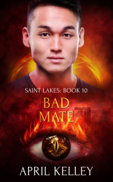 Bad Mate - April Kelly - Saint Lakes