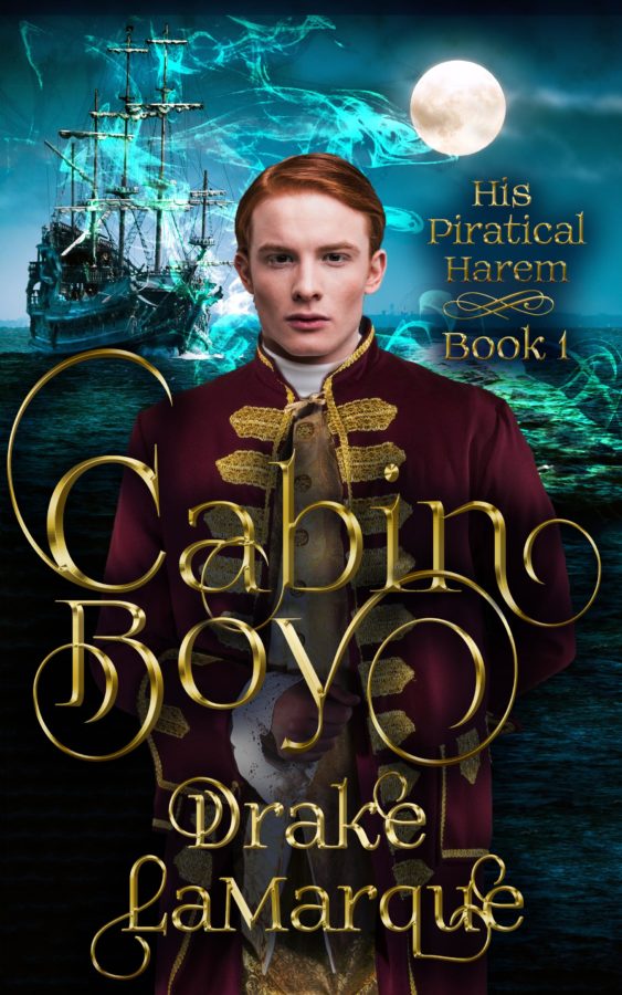 Cabin Boy - Drake LaMarque - His Piratical harem