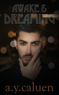 Book Cover: Awake and Dreaming