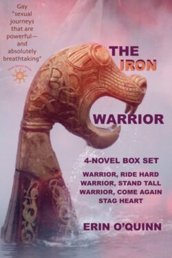 The Iron Warrior series - Erin O'Quinn