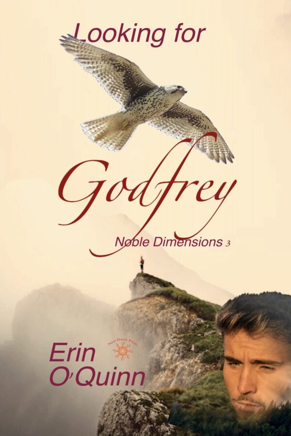Looking for Godfrey - Erin O'Quinn - Noble Dimensions