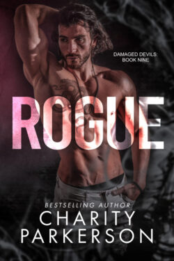 Rogue - Charity Parkerson - Damaged Devils