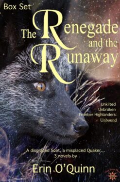 The Renegade and the Runaway box set - Erin O'Qunn