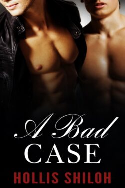 A Bad Case - Hollis Shiloh