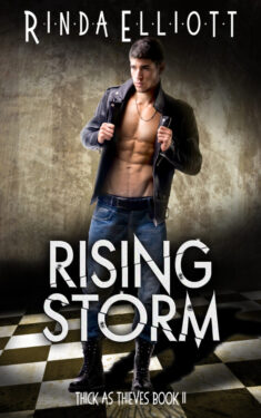 Rising Storm - Rinda Elliott - Thick as Thieves