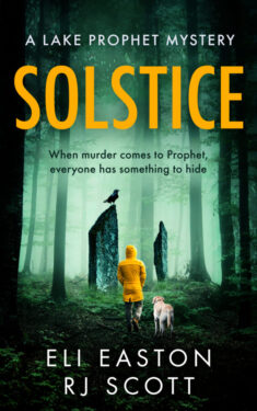 Book Cover: Solstice