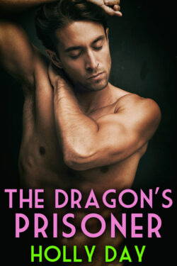 The Dragon's Prisoner - Holly Day