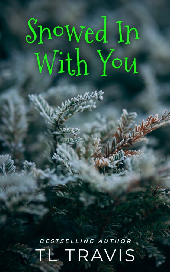 Snowed In With You - TL Travis