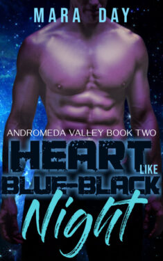 Book Cover: Heart like Blue-Black Night