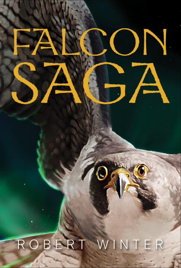 Falcon Saga - Robert Winter