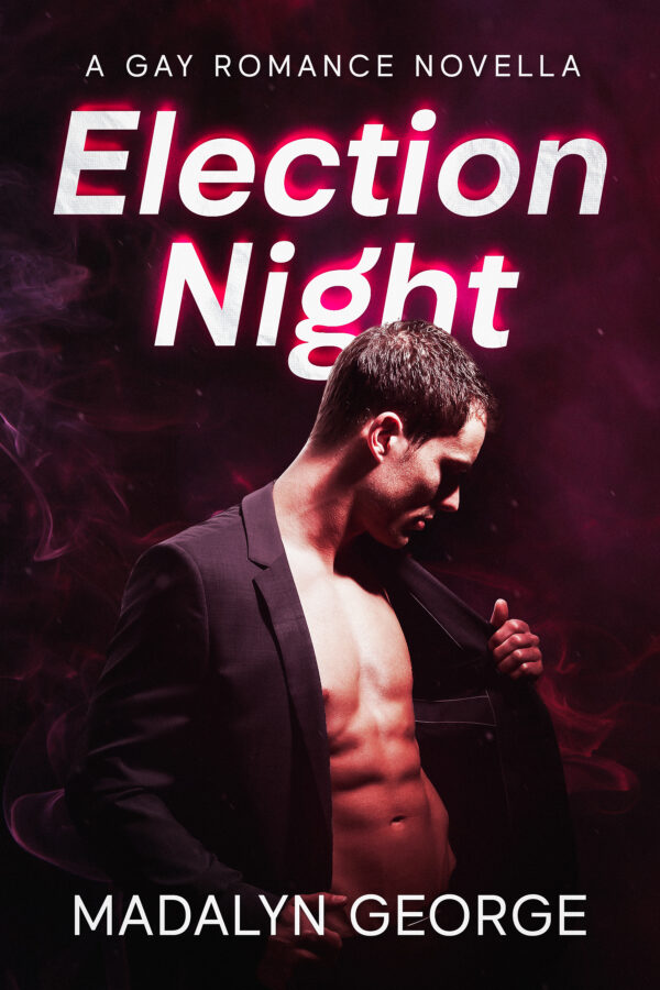 Book Cover: Election Night