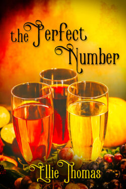 Book Cover: The Perfect Number