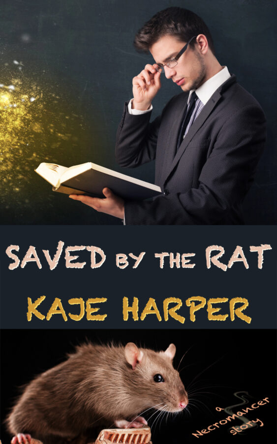 Book Cover: Saved by the Rat