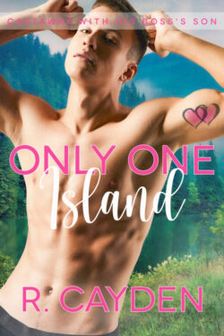 Book Cover: Only One Island