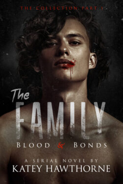 The Family - Katey Hawthorne - Blood & Bonds