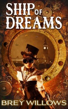 Review: Ship of Dreams - Brey Willows