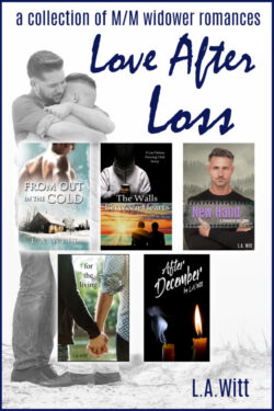 Book Cover: Love After Loss