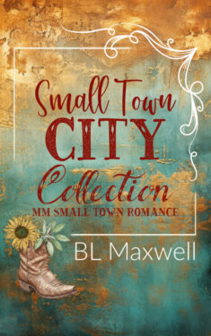 Book Cover: Small Town City Collection