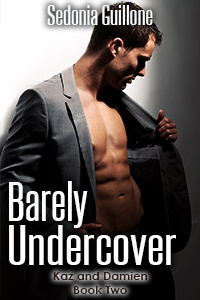 Book Cover: Barely Undercover