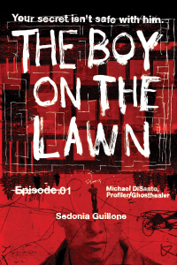 Book Cover: The Boy on the Lawn