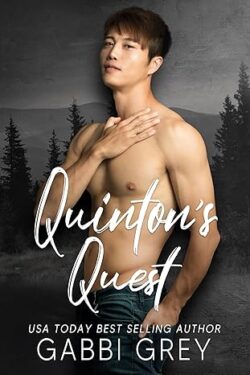 Book Cover: Quinton's Quest (Love in Mission City Book 6)