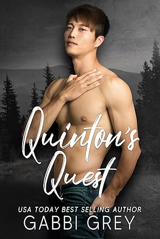 Book Cover: Quinton's Quest (Love in Mission City Book 6)