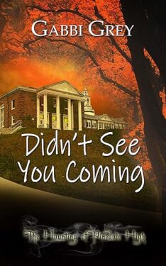 Book Cover: Didn't See You Coming