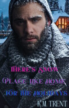 Book Cover: There's Snow Place Like Home For The Holidays: An MM Holiday Romance