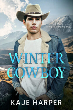 Book Cover: Winter Cowboy
