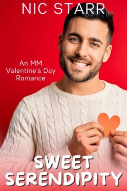 Sweet Serendipity - Nic Starr