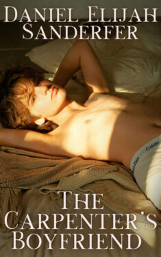 Book Cover: The Carpenter's Boyfriend