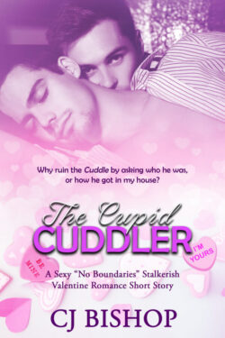 Book Cover: The Cupid Cuddler: A Stalker-ish Valentine's Day Romance
