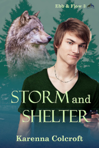 Storm and Shelter - Karenna Colcroft - Ebb & Flow
