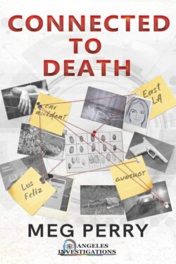 Connected to Death - Meg Perry