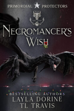 Book Cover: Necromancer's Wish