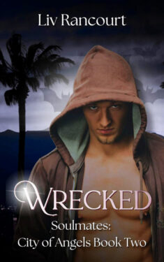 Wrecked - Liv Rancourt