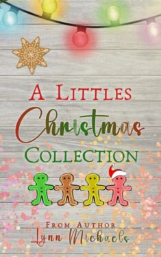 A Littles Christmas Collection - Lynn Michaels