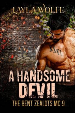 Book Cover: A Handsome Devil