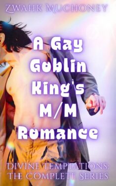 Book Cover: Divine Temptations: The Complete Series