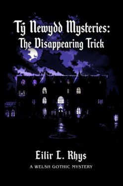 The Disappearing Trick - Eilir L. Rhys - Ty Newydd Mysteries
