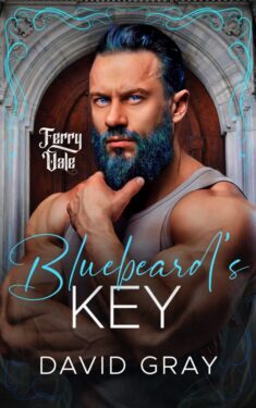 Bluebeard's Key - David Gray - Ferry Vale